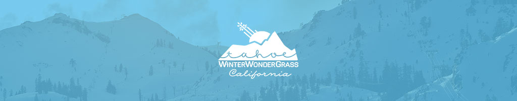 Winter Wonder Grass