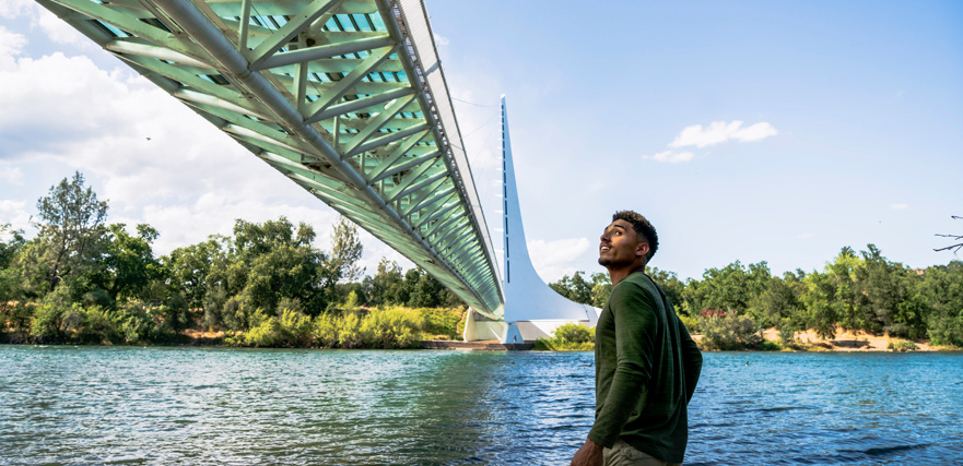 Free Things to Do Billboard