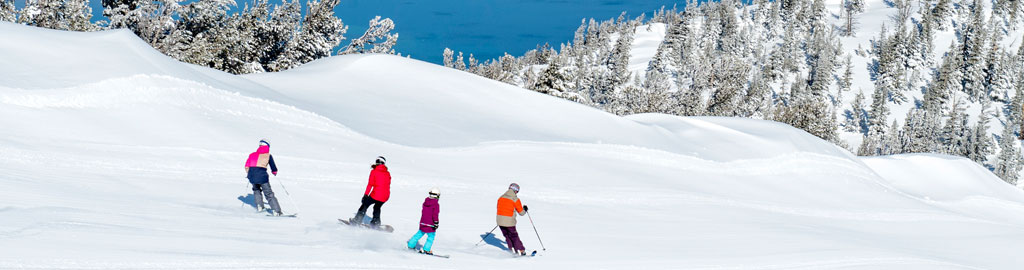 Snowy Escapes Mobile Hero