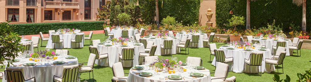 Runway to Roundtable Mobile Hero