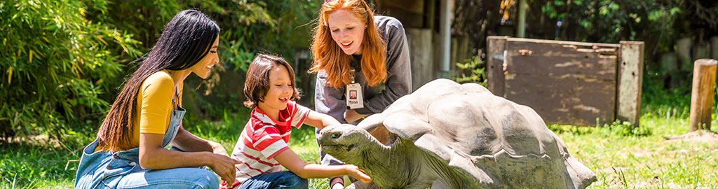 mother and son petting turtle at Fresno Zoo